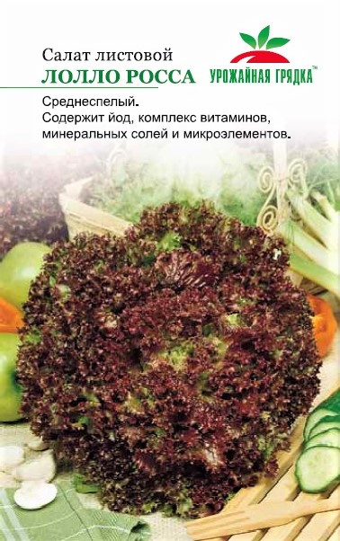 УГ салат Лолло Росса (листовой) (Евро, 0,5)