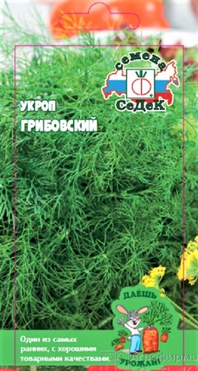 ДУ укроп Грибовский (Евро, 2)