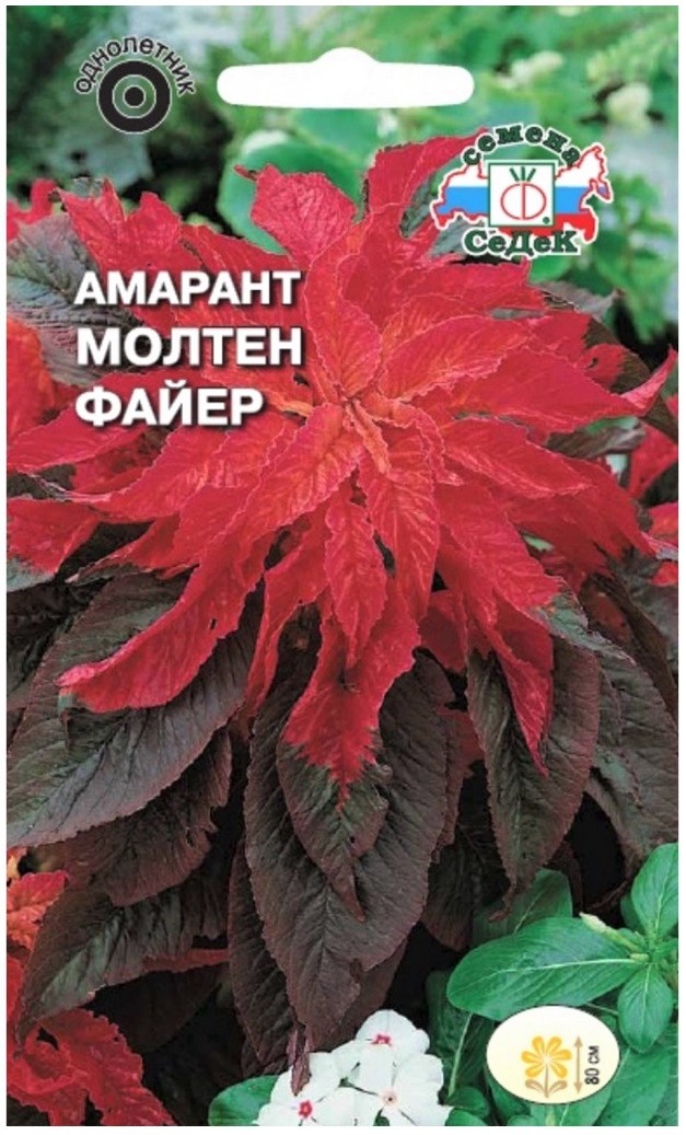 Седек Амарант Молтен файер (двуцветный) (Евро, 0,25)