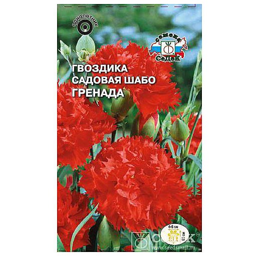 Гвоздика Гренада