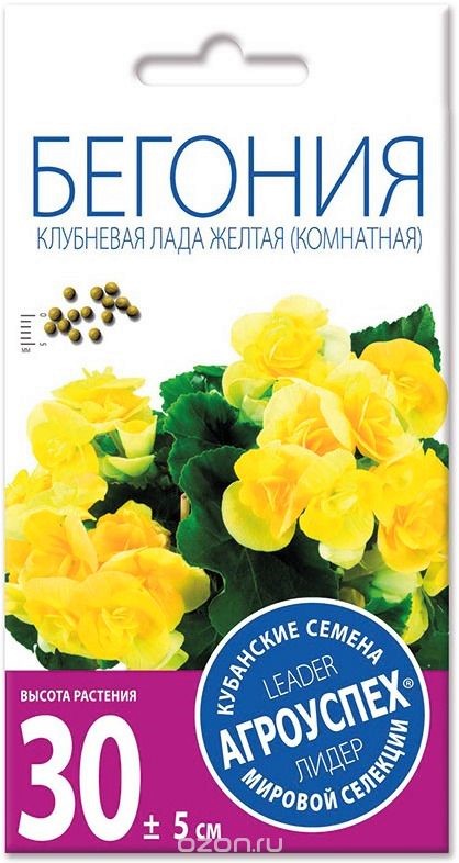 ЛцК бегония Лада желтая клубневая F1