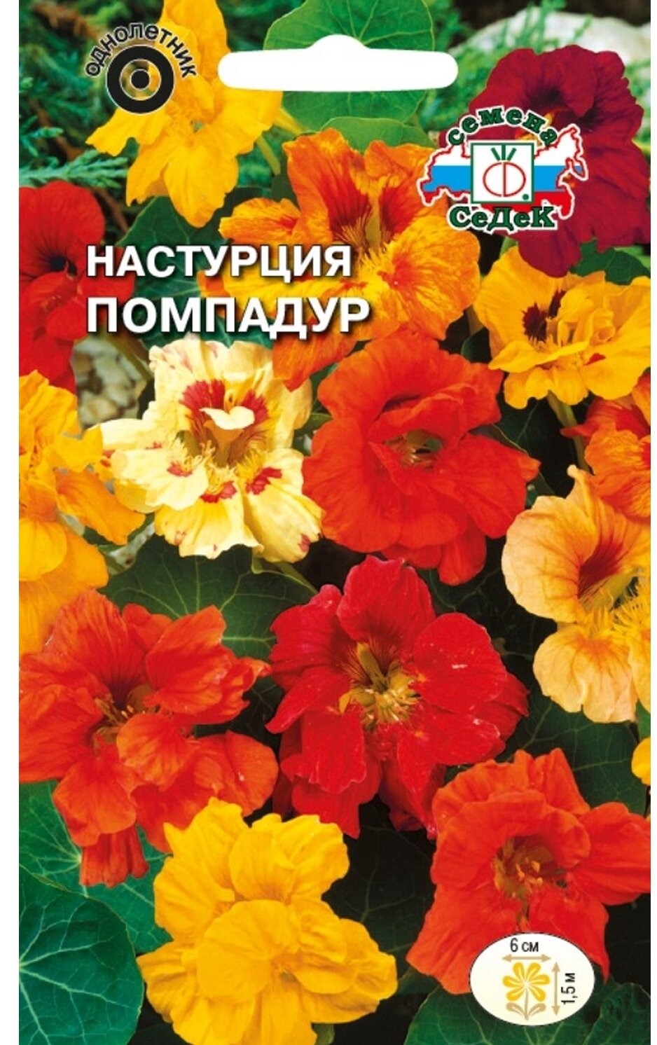 Седек Настурция Помпадур ( вьющаяся,махровая,смесь цветов) (Евро, 1)
