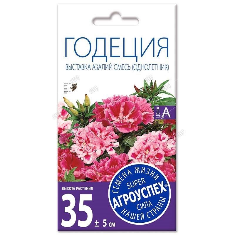 Лц годеция Выставка азалий