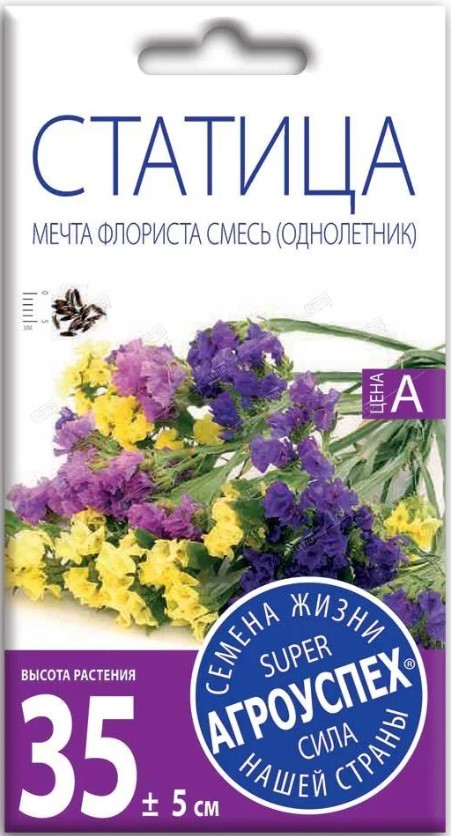 статица