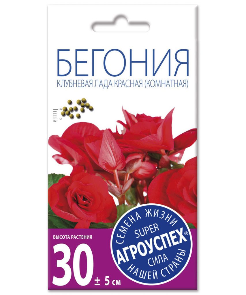 begonija_klubnevaja_lada_krasnaja-853x1024