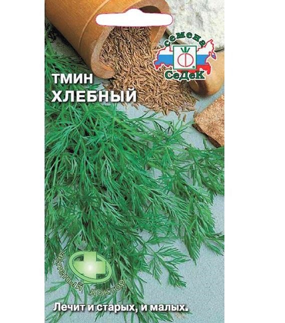 Тмин Хлебный