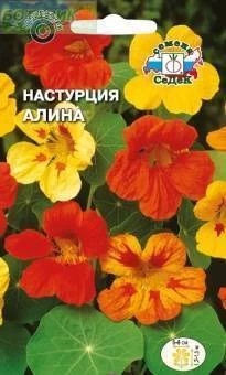 Седек Настурция Алина