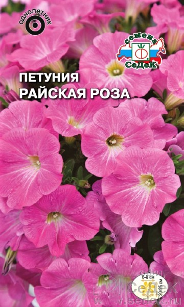 Петуния Райская роза