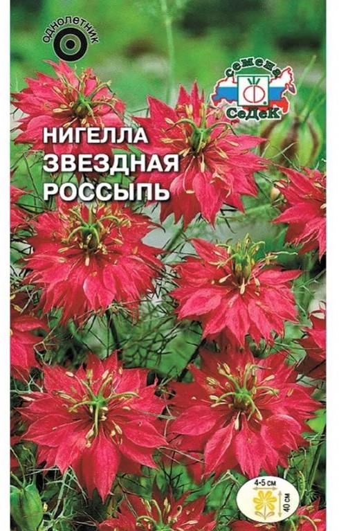 Седек Нигелла Звездная россыпь (дамасская) (Евро, 1)