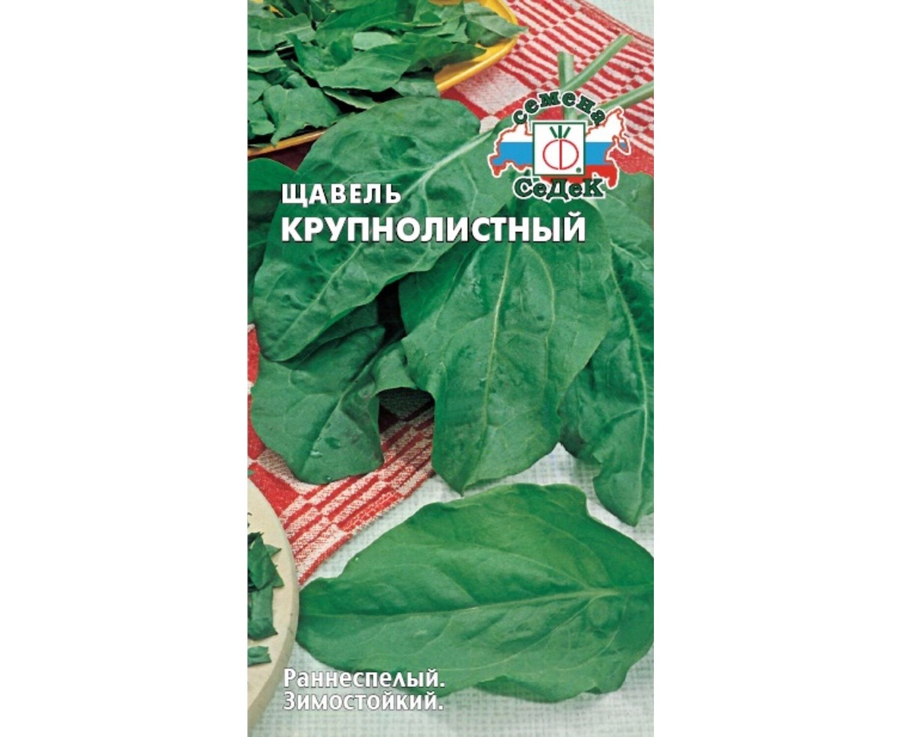 shavel_krupnolist_SD