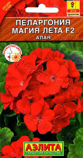images (11)
