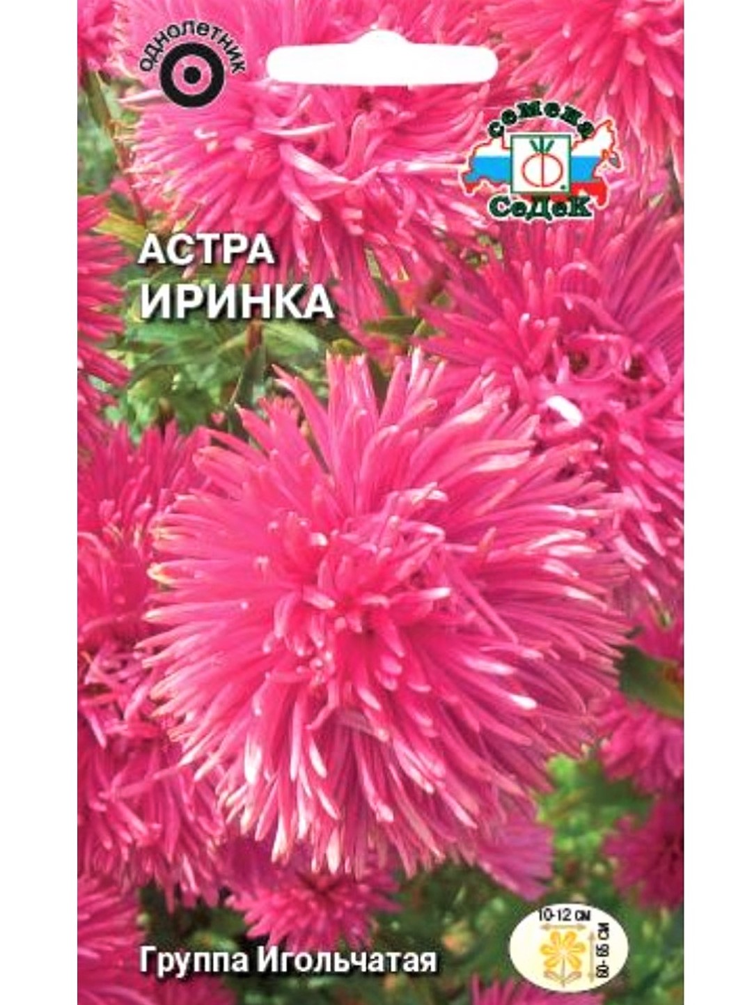 Седек Астра Иринка (игольчатая, ярко-розовая) (Евро, 0,2)