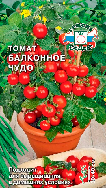 Седк томат балк чудо