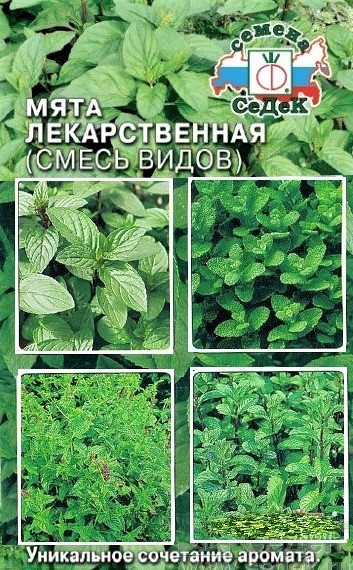 Седек мята лекарственная(смесь сортов) (Евро, 0,05)