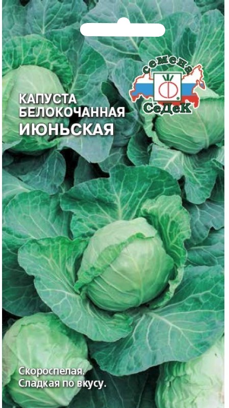 Седек капуста Июньская (Б К) (Евро, 0,5)