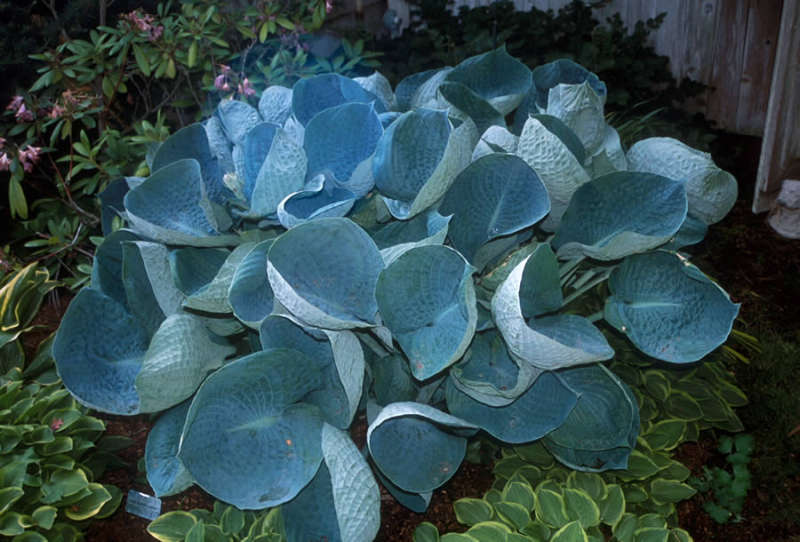 1001
