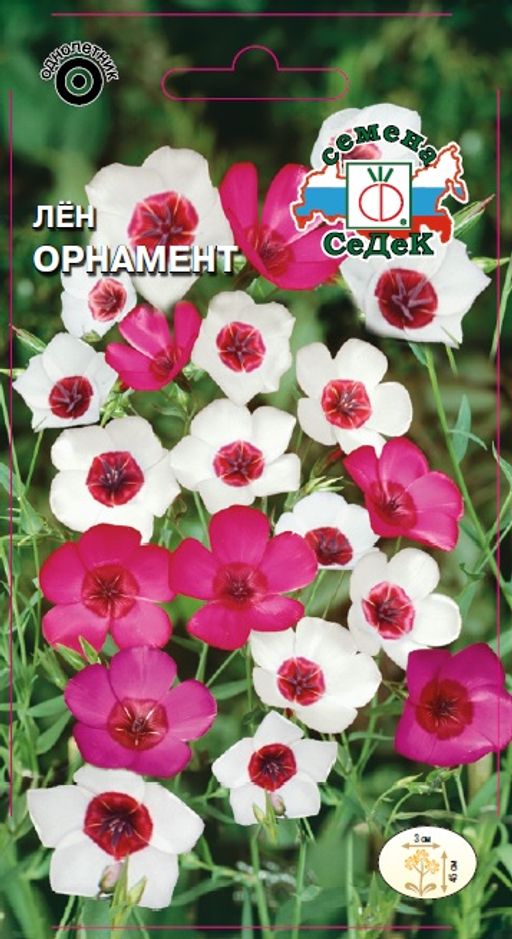 Седек Лён Орнамент