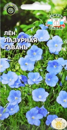 Седек Лён Лазурная гавань (многолетний, голубой) (Евро, 0,5)