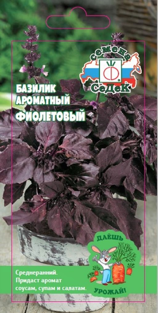13 ДУ базилик Фиолетовый (Евро, 0,2)
