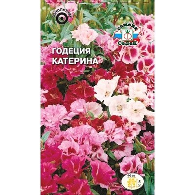 Седек Годеция Катерина (крупноцветковая смесь высотой 50 см) (Евро, 0,15)