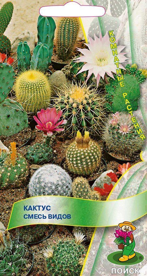 Кактус смесь