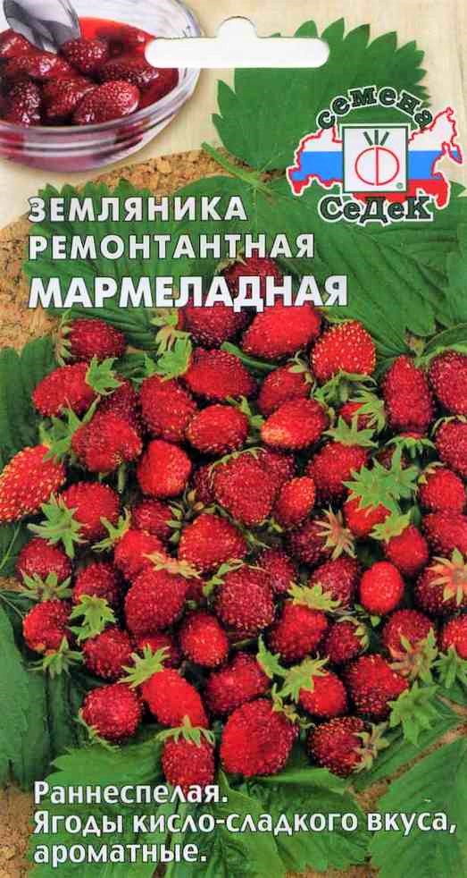 21 Седек земляника Мармеладная ( мелкоплодная ремонтант.) (Евро, 0,04)