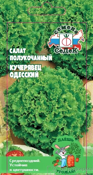 ДУ салат Кучерявец Одесский (полукочанный) (Евро, 0,5)
