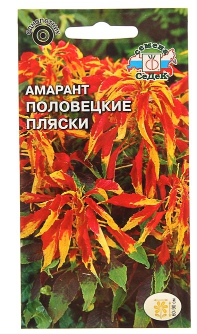 700-nw (3)