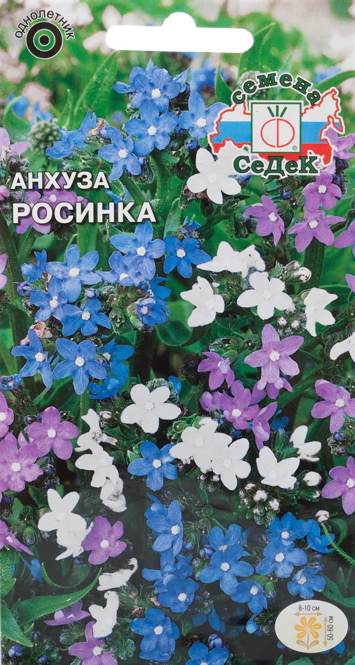 Седек Анхуза Росинка (капская карликовая) (Евро, 0,2)