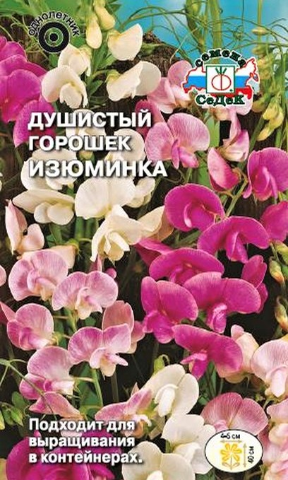 Седек Душистый Горошек Изюминка (карликовый, смесь цветов) (Евро, 1)