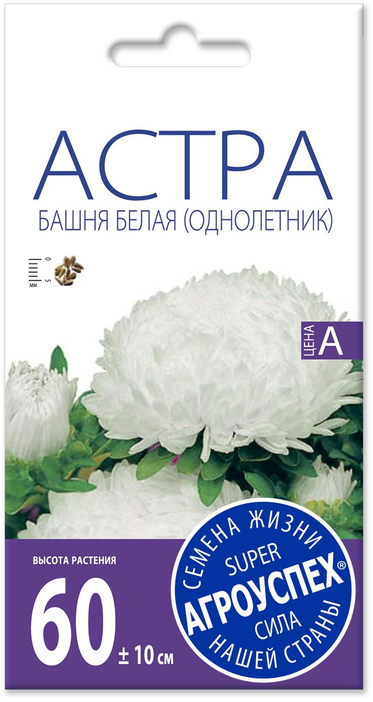 н астра белая башня