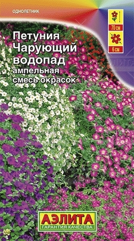 large_52543