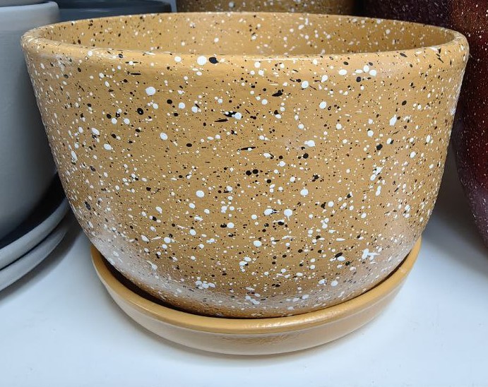 photo1701330449 (6)