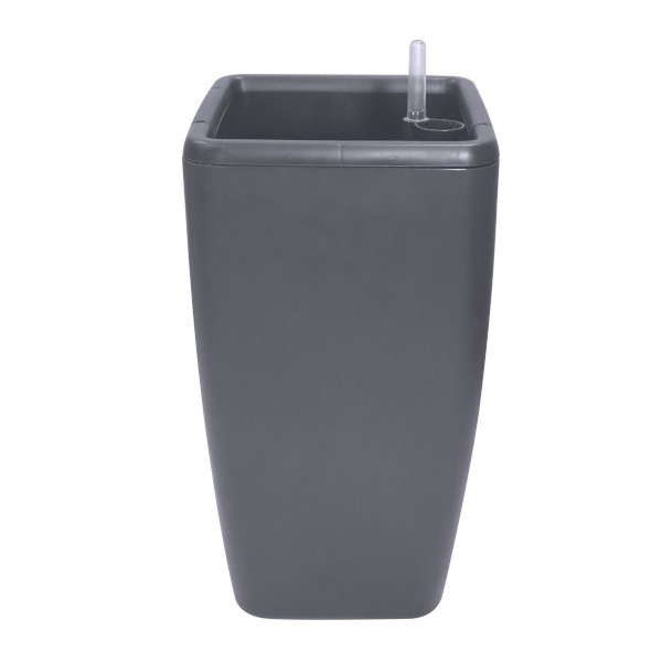 NF-00017453
