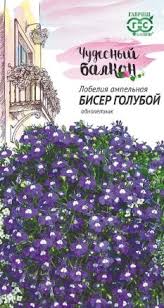 images (36)