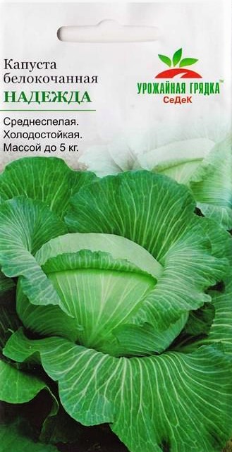 УГ капуста Надежда
