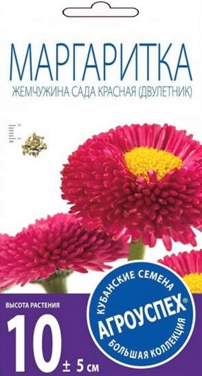 11 Лц маргаритка Жемчужина сада красная  Д