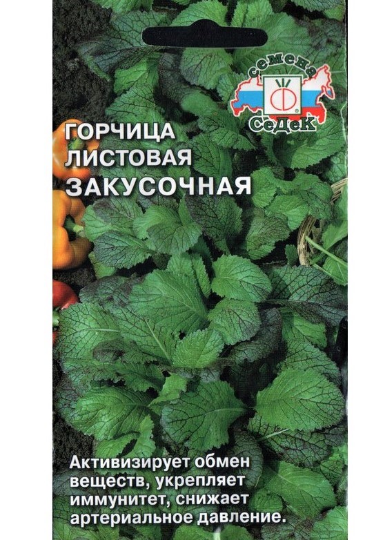 Седек горчица Закусочная