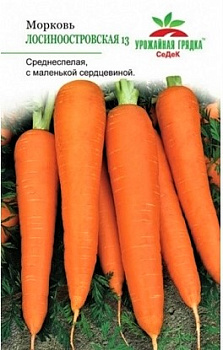 Седек морковь Лосиноостровская 13 (Евро, 2)
