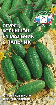 Седек огурец Мальчик-с-пальчик F1 (Евро, 0,2)