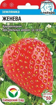 И/клубника Женева крупн.пл., 2р в год *10шт