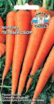 Седек морковь Первый сбор (Евро, 2)