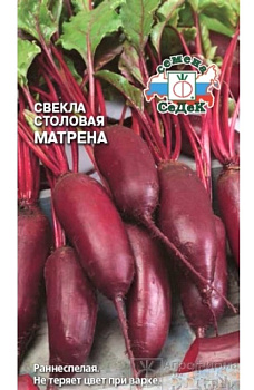 Седек свекла Матрёна (столовая) (Евро, 3)