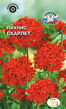 Седек Лихнис Скарлет (халцедонский, красный) (Евро, 0,25)