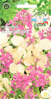 Седек Колеус Радуга (смесь сортов) (Евро, 0,03)