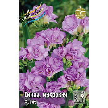 Фрезия Синяя, Махровая 5/6 10 шт