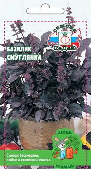Седек базилик Смуглянка (Евро, 0,2)