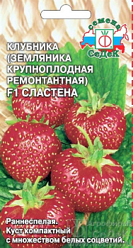 Седек Земляника Сластена F1 (крупноплодная ремонтант.) (Евро, 15)