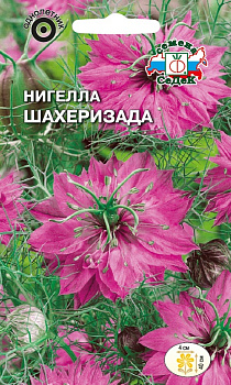 Седек Нигелла Шахеризада (дамасская, ярко-розовая) (Евро, 1)