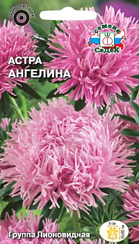 Седек Астра Ангелина (пионовидная розовая) (Евро, 0,1)